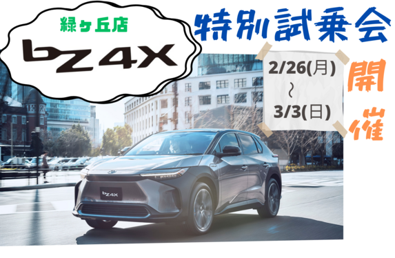 ひよページ【3/17到着予定】 カラーインデックス ダイアリー 日曜始まり：2026年日付入商品