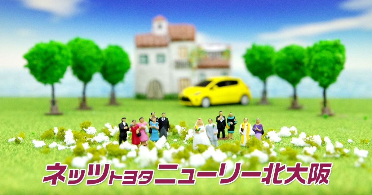 NETZ トヨタ ポケモン トランプ NETZ トヨタ ポケモン トランプ