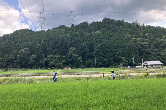農業体験_240722 (2)