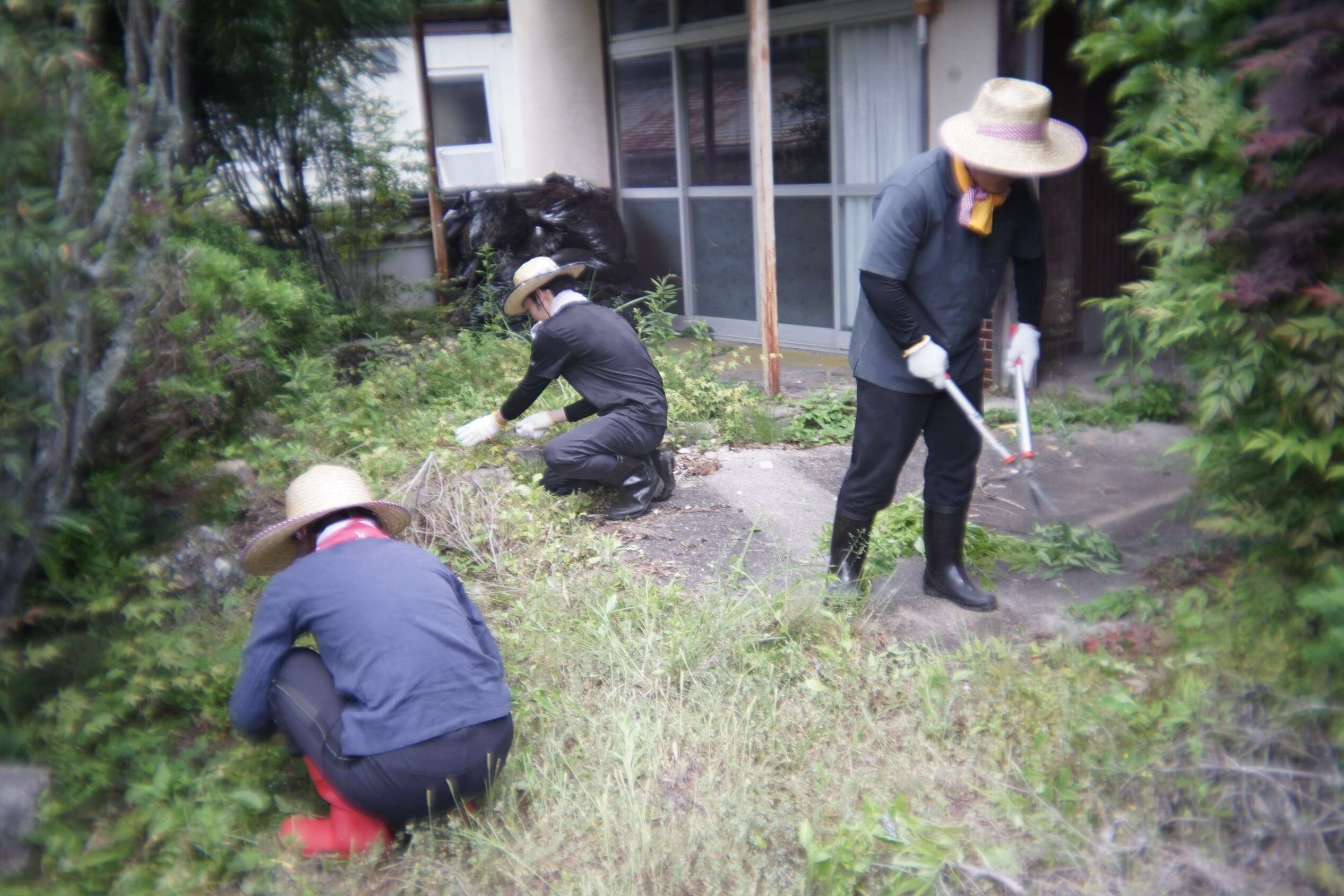 nogyokensyu_20260525 (3)