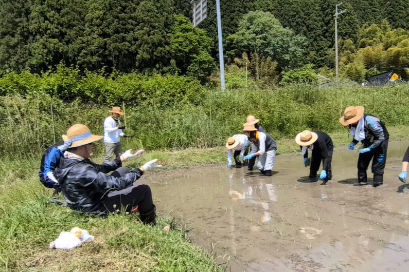 nogyokensyu_20260525 (1)