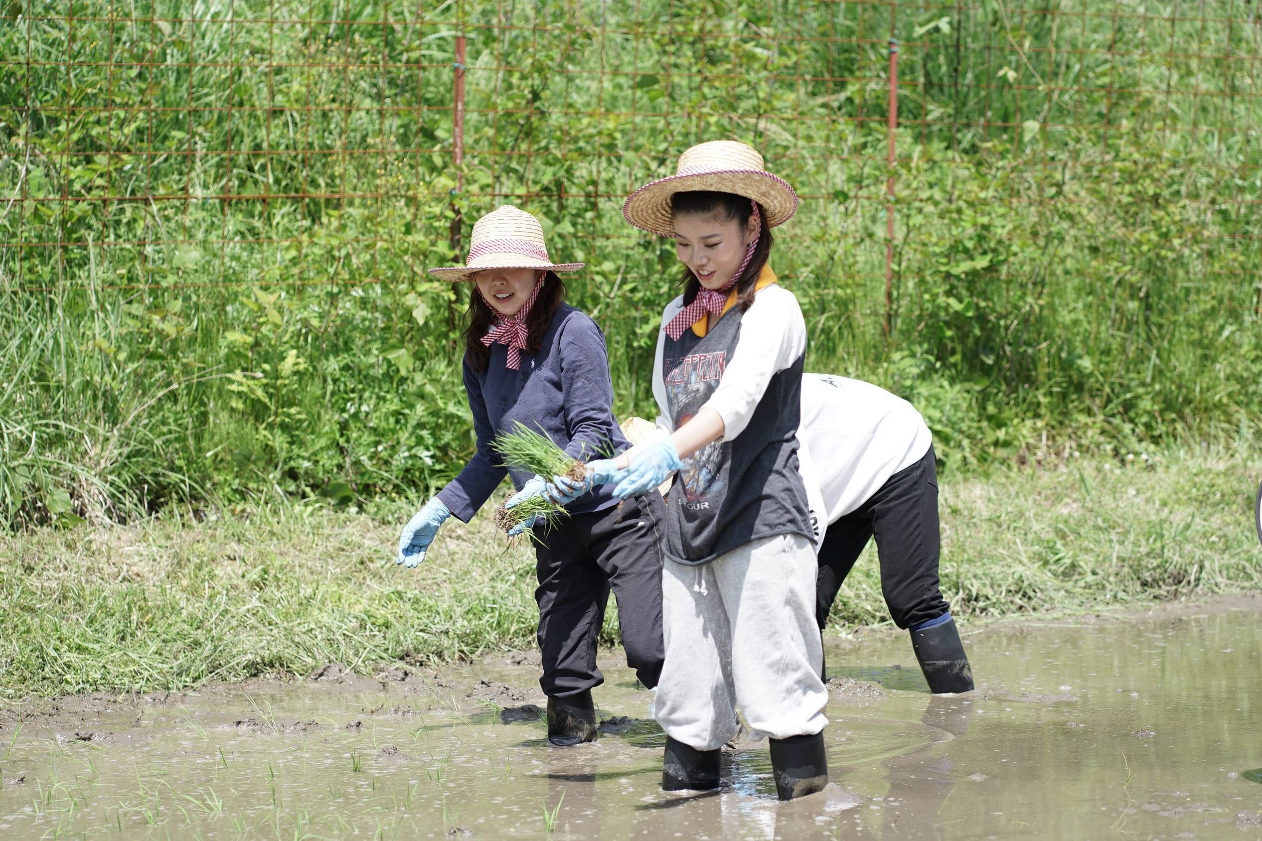 nogyokensyu_20260525 (15)