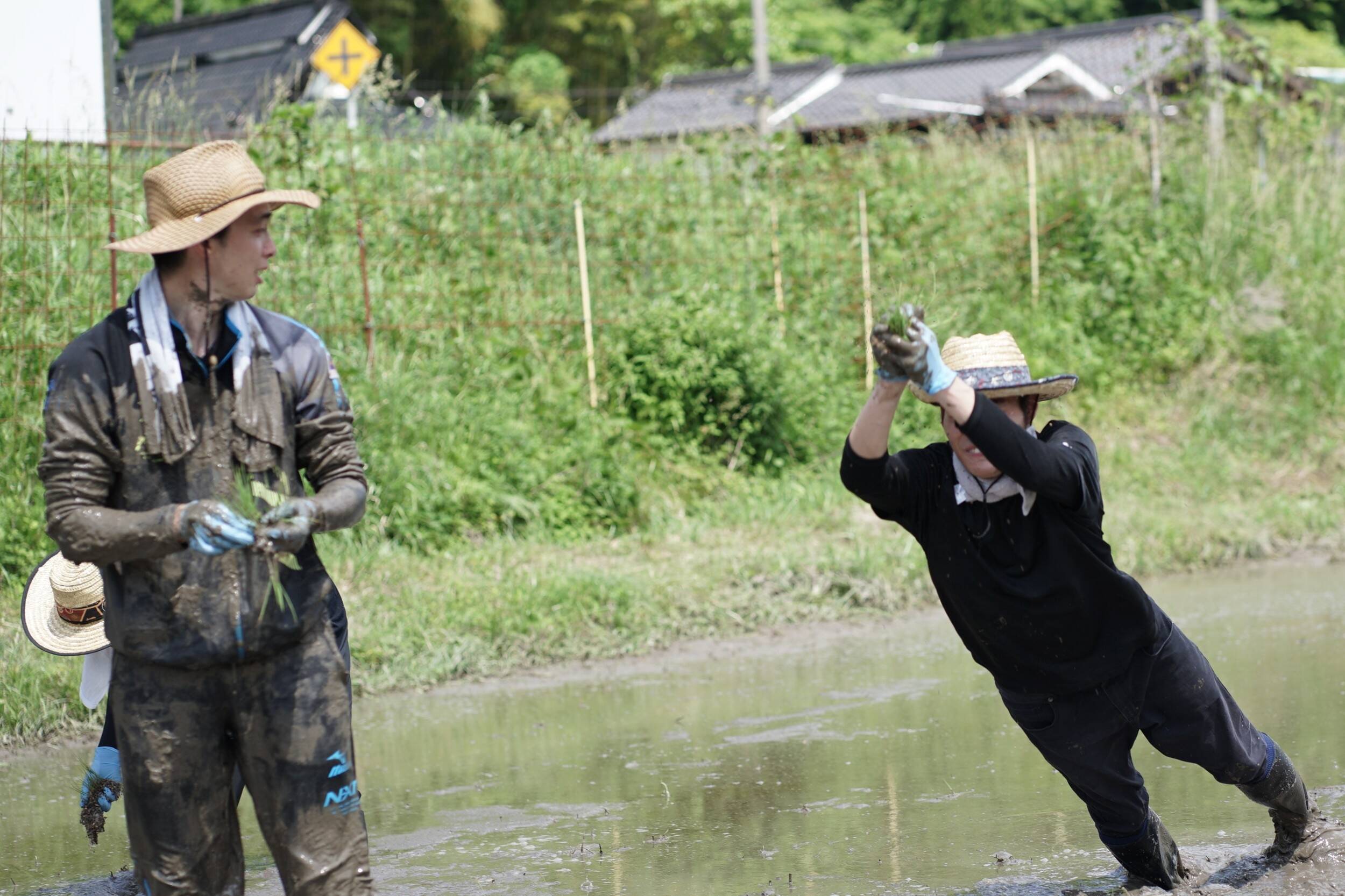 nogyokensyu_20260525 (19)