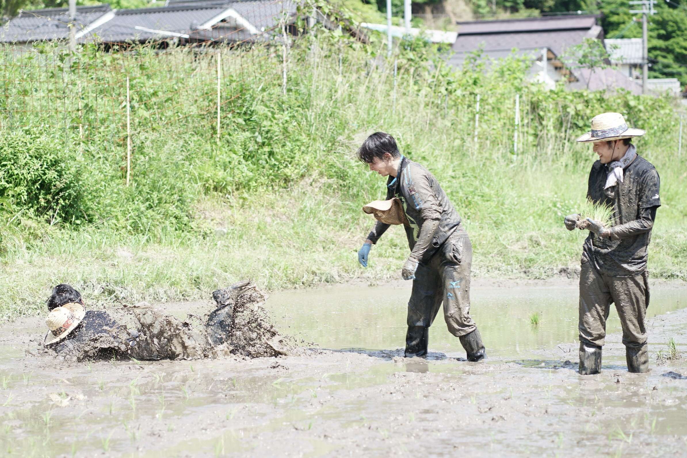 nogyokensyu_20260525 (26)