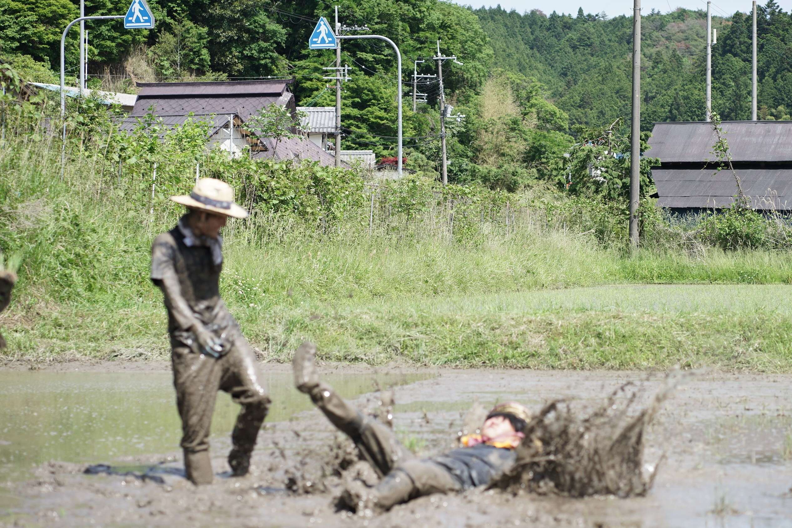 nogyokensyu_20260525 (25)