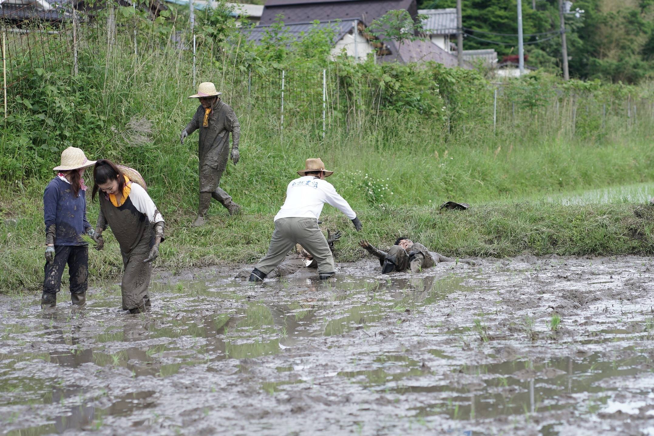 nogyokensyu_20260525 (28)