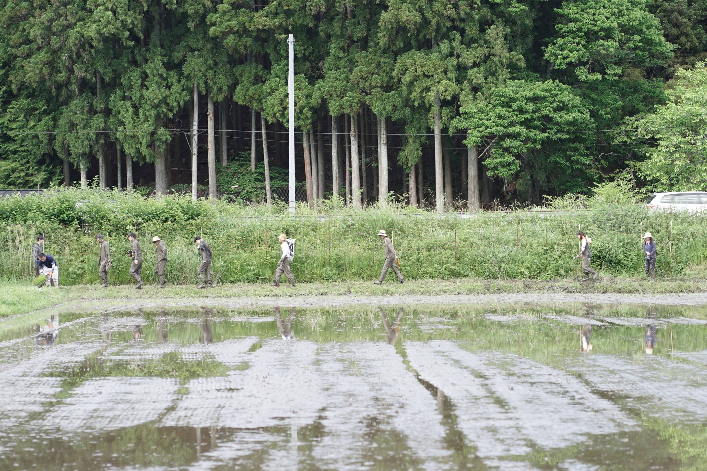 nogyokensyu_20260525 (32)